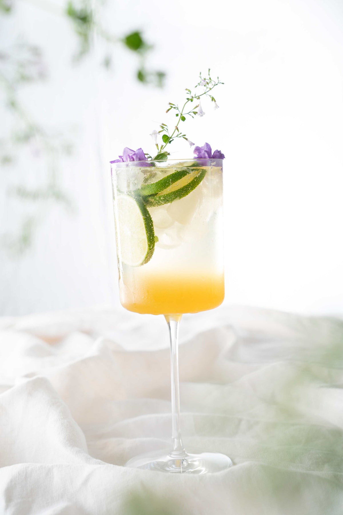 Honey Hugo Spritz