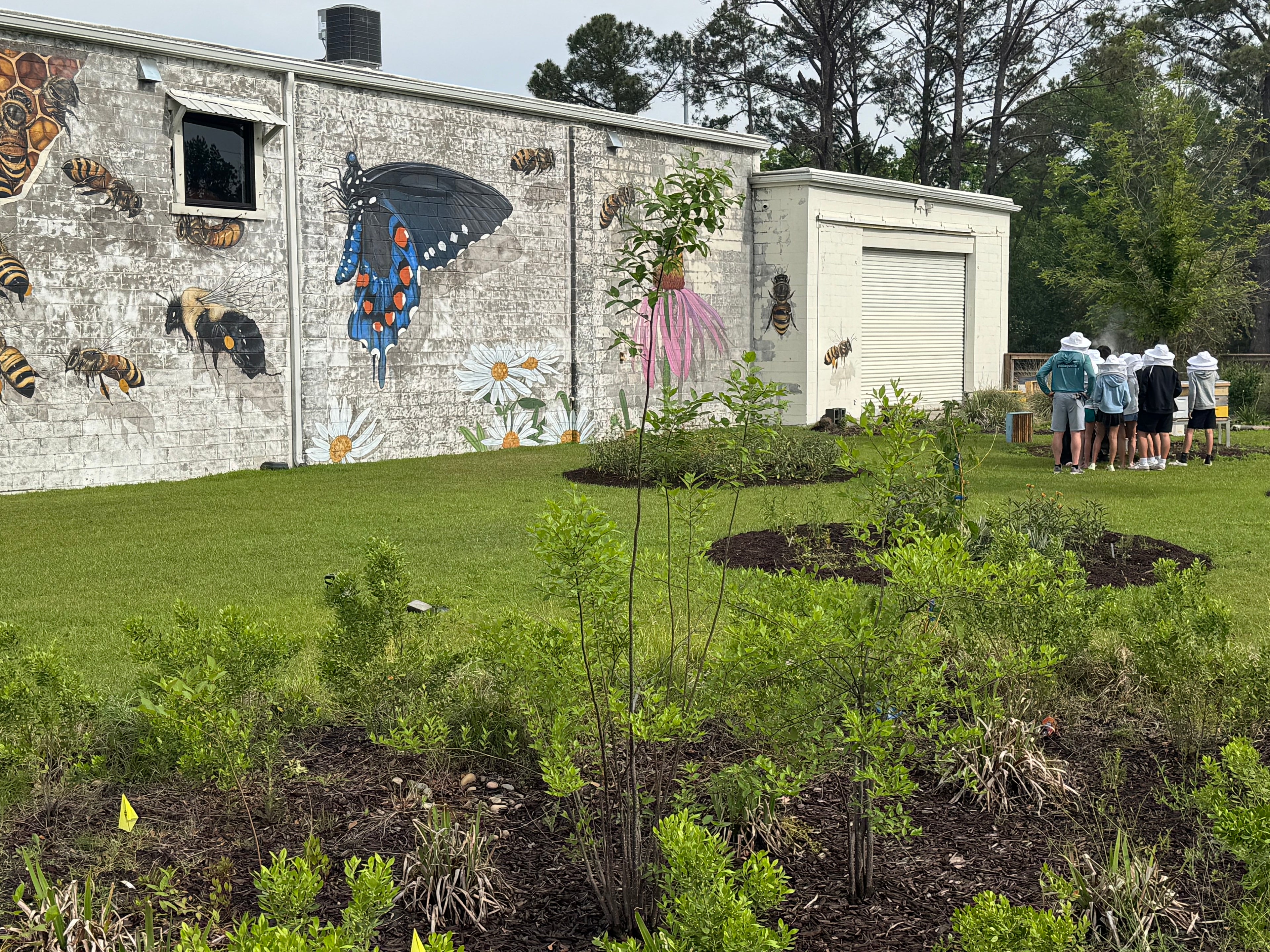 Load video: Video about Savannah Bee Company, Ted (owner) and team