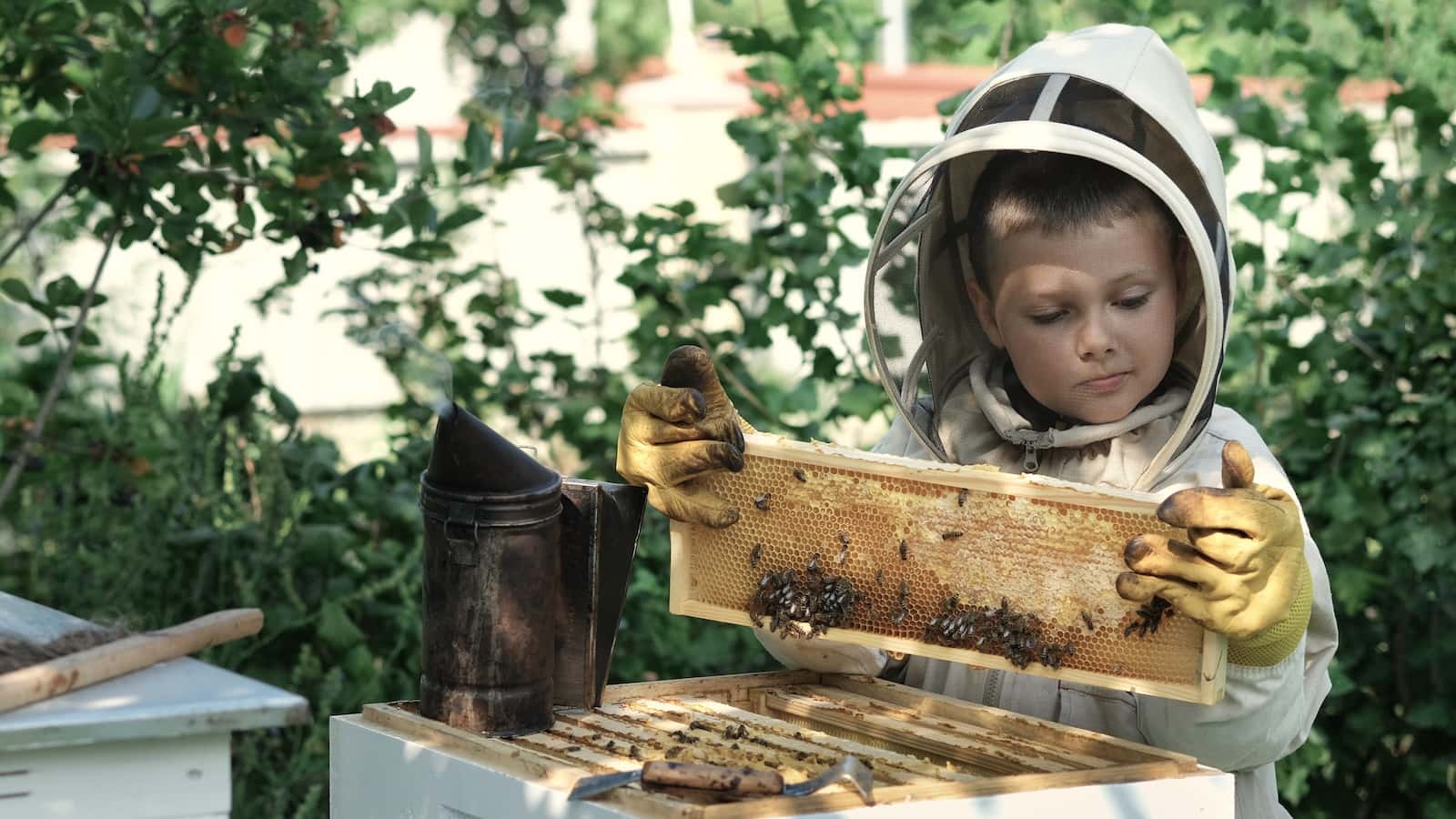 Load video: Video about Savannah Bee Company, Ted (owner) and team